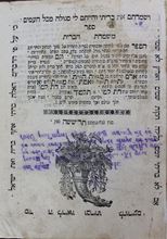 תמונה של ספר "משמרת הברית" ירושלים דפוס ישראל בק תר"ו – 1846. נדיר.