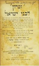 Picture of Zikaron L’Bnei Yisrael (Chassidic edition)—copy of the Admor of Skernievitz and the Bnei Brak Rabbi, Rabbi Yosef Zvi Kalish.