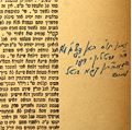 Picture of Complete Talmud. Personal Copy of the "Mekor Baruch" of Seret-Vishnitz with Glosses in his Hand